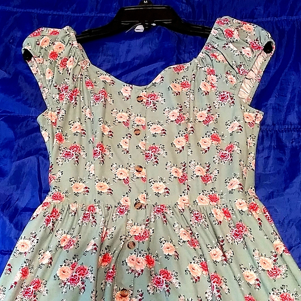 🦊3/$15🐿